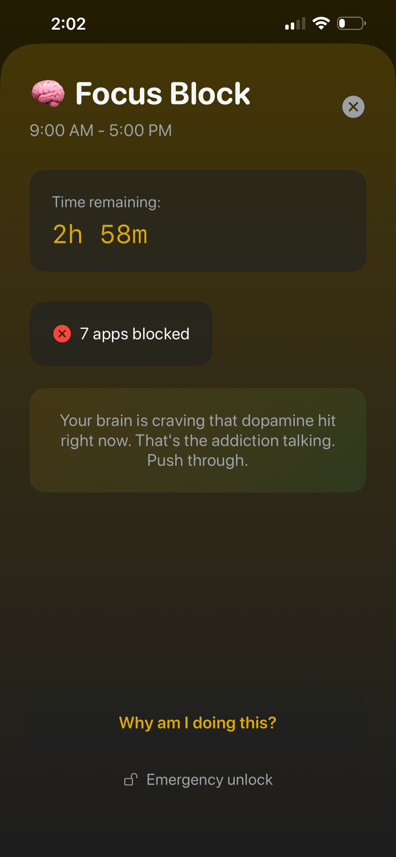 Focus Block active — time remaining and apps blocked